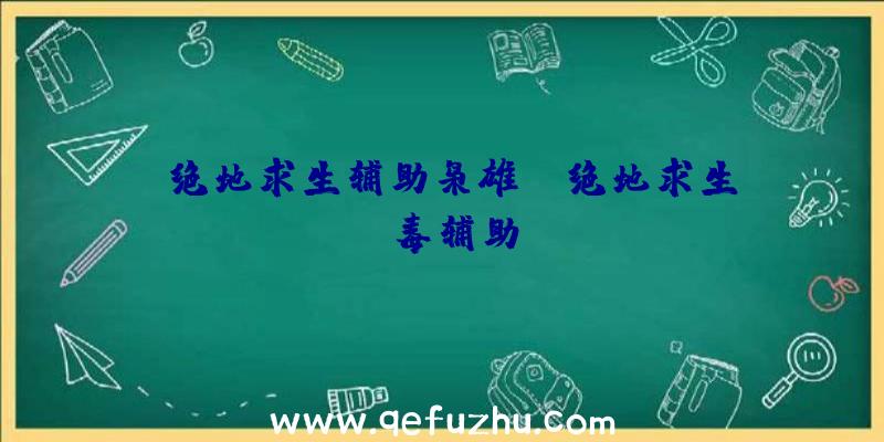 「绝地求生辅助枭雄」|绝地求生